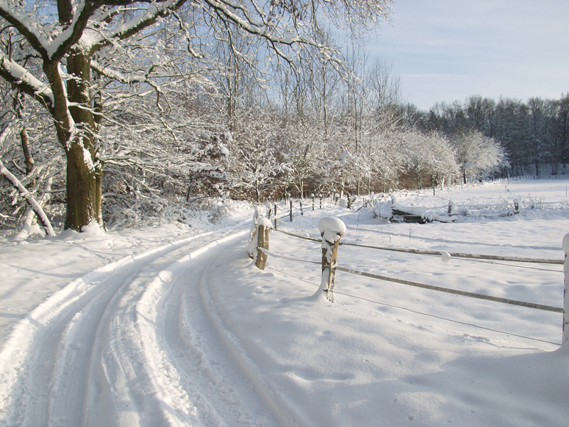 Winterlandschaft